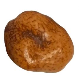 Африканский орех мохилхин от бесплодия, простатита и эректильной дисфункции (большой, Судан)