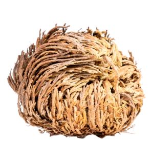 Каф Марьям отборный крупный (Иерихонская роза, 100 г) Каф Марьям отборный крупный (Иерихонская роза, 100 г)